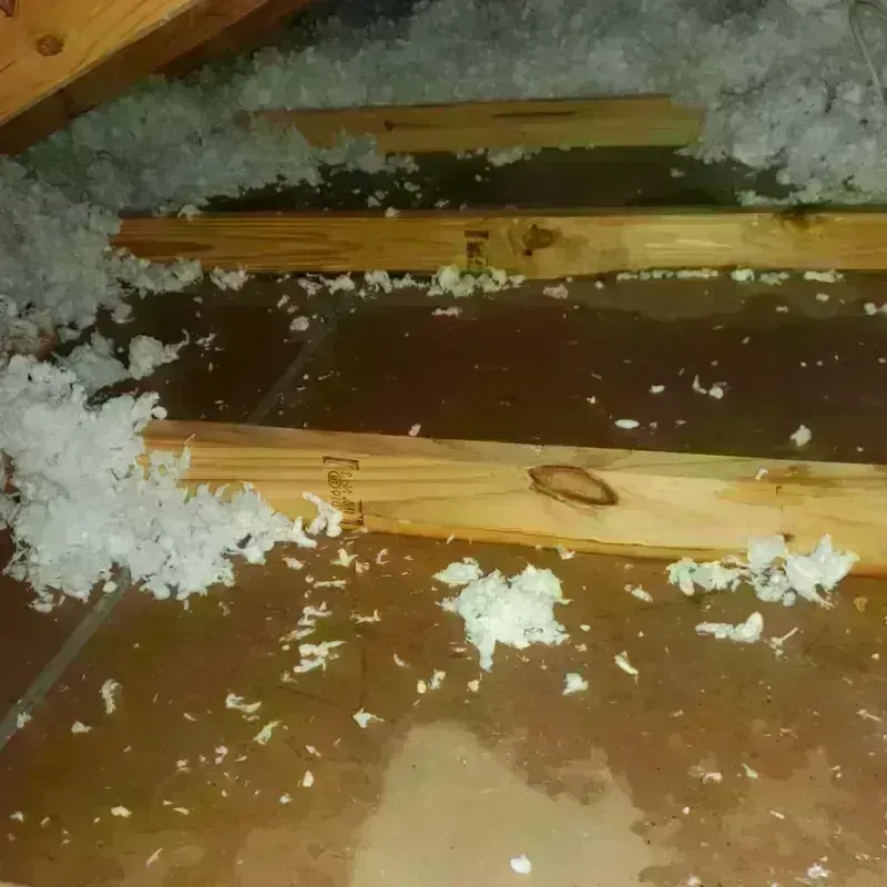 Attic Water Damage in Holtville, AL